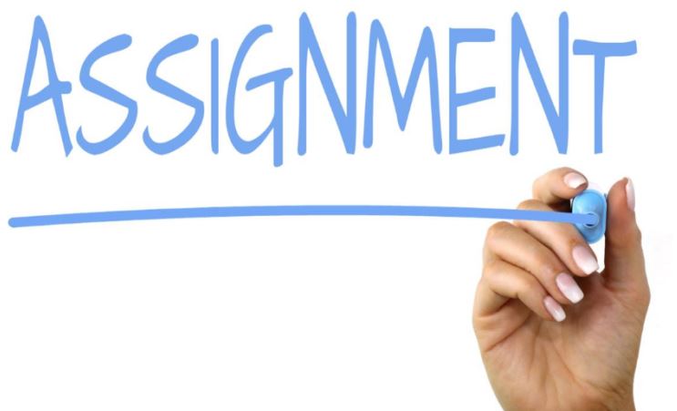 Why An Assignment Help Service Might Be Necessary